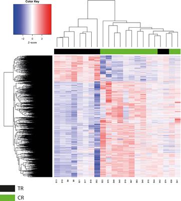 Gene Promoter-Methylation Signature as Biomarker to Predict Cisplatin-Radiotherapy Sensitivity in Locally Advanced Cervical Cancer